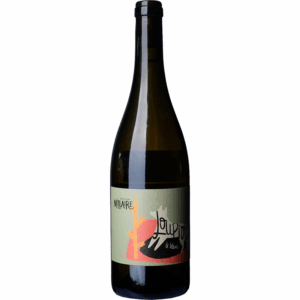 Loupiot Blanc Vin de France - Domaine Jean-Yves Millaire